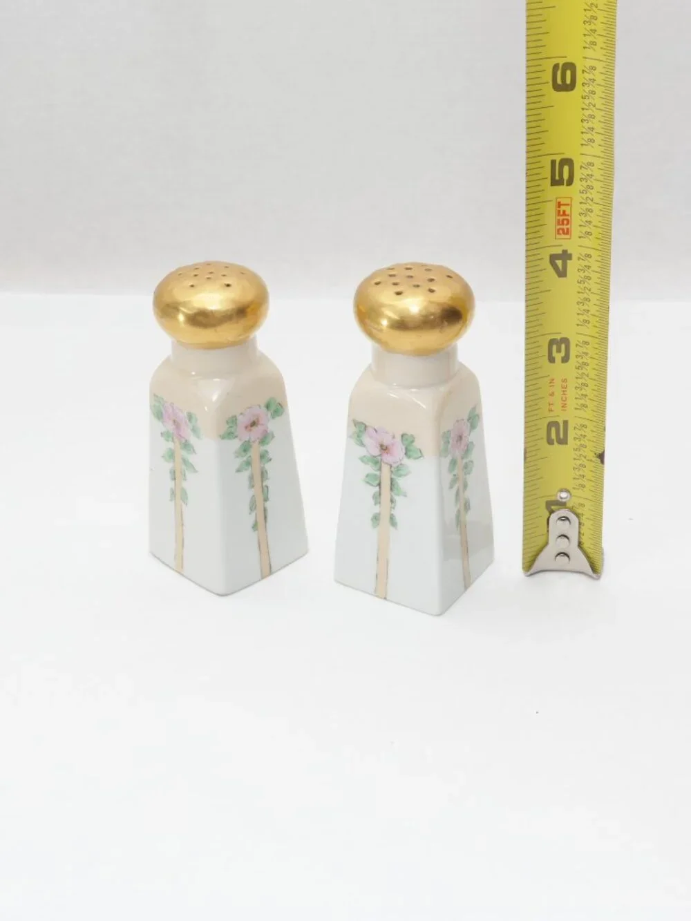Hand Painted Bavarian Porcelain Salt and Pepperr ShakeSet Floral Design